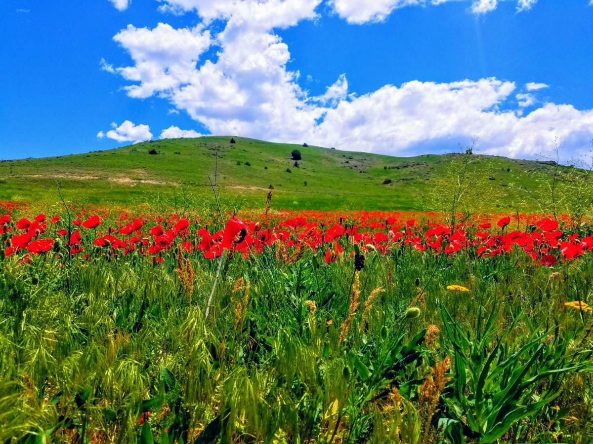 Karine B&B Yeghegnadzor Εξωτερικό φωτογραφία