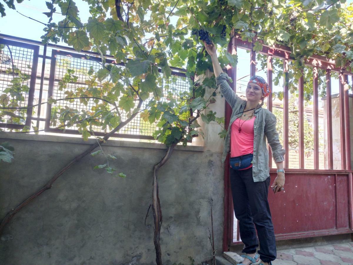 Karine B&B Yeghegnadzor Εξωτερικό φωτογραφία